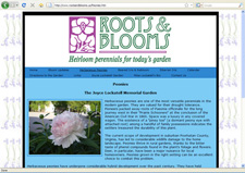 roots and blooms