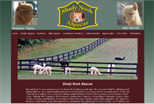 shady nook alpacas shady nook alpacas